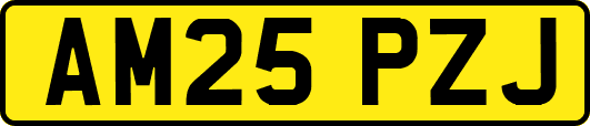 AM25PZJ