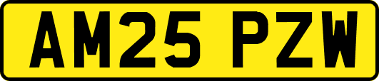 AM25PZW