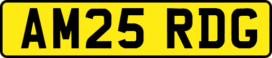 AM25RDG