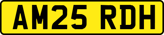 AM25RDH