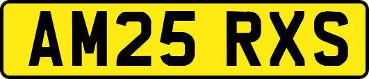 AM25RXS