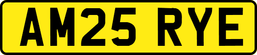 AM25RYE