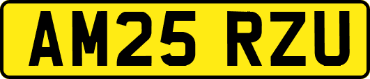 AM25RZU