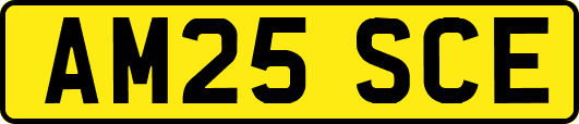AM25SCE