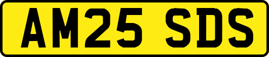 AM25SDS