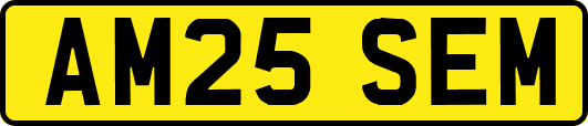 AM25SEM