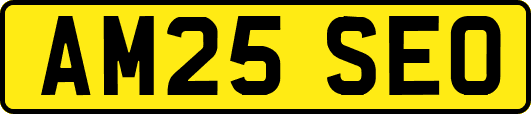 AM25SEO
