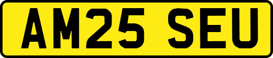AM25SEU