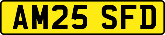 AM25SFD