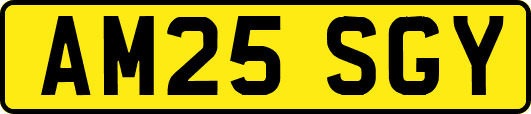 AM25SGY