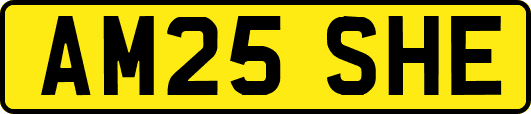 AM25SHE