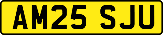 AM25SJU