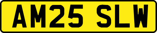 AM25SLW