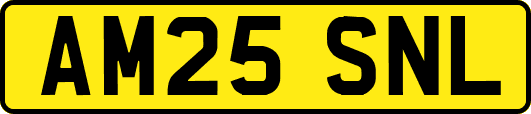 AM25SNL