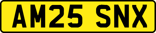 AM25SNX