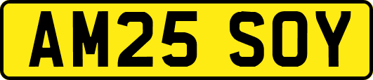 AM25SOY