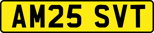 AM25SVT