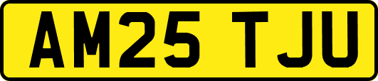 AM25TJU
