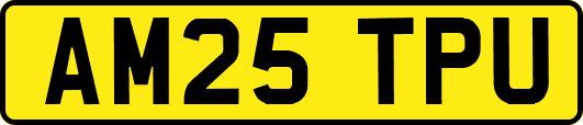 AM25TPU