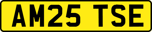 AM25TSE