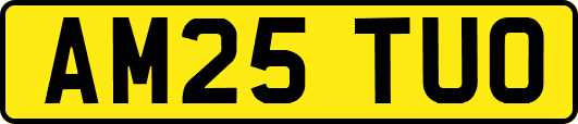 AM25TUO