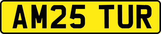 AM25TUR