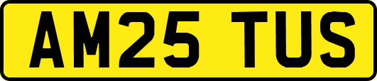 AM25TUS