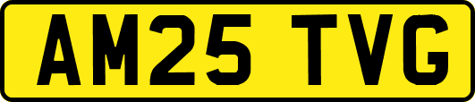 AM25TVG