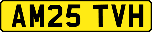 AM25TVH