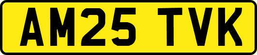 AM25TVK
