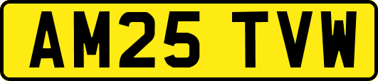 AM25TVW