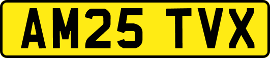 AM25TVX