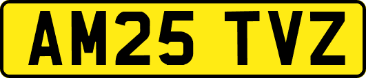 AM25TVZ