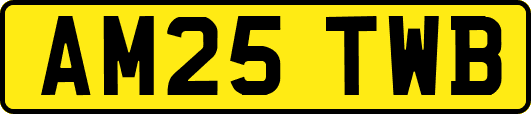 AM25TWB