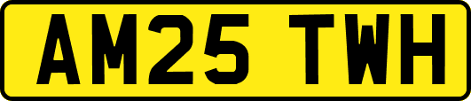 AM25TWH