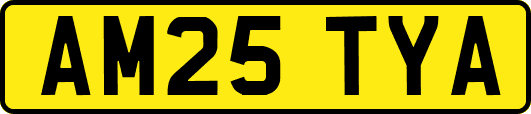 AM25TYA