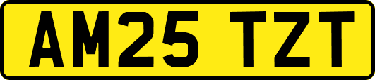 AM25TZT