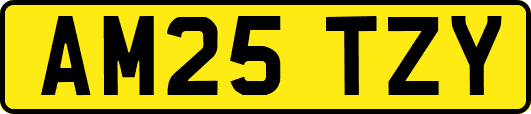 AM25TZY