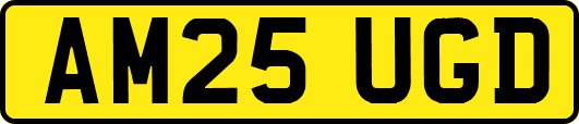 AM25UGD