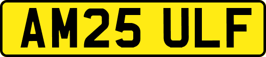 AM25ULF