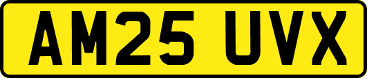 AM25UVX