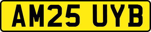 AM25UYB