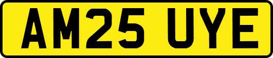 AM25UYE