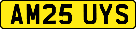 AM25UYS
