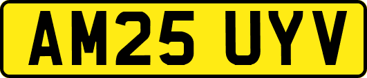 AM25UYV