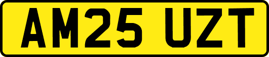 AM25UZT