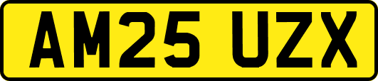 AM25UZX