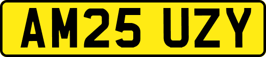 AM25UZY