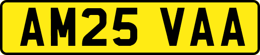 AM25VAA