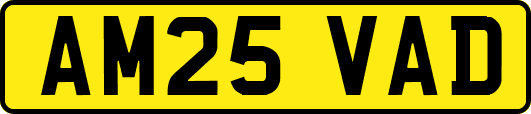 AM25VAD